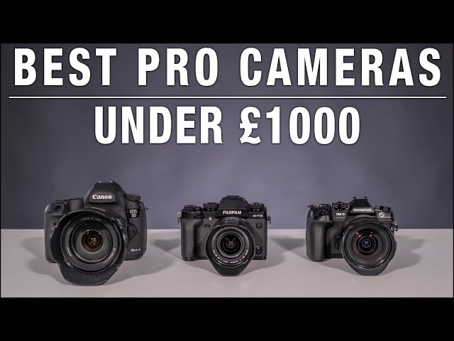 Best Professional Cameras for Under £1000!