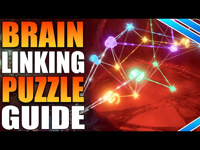 Necrotic Library Brain Link Puzzle Guide For Baldurs Gate 3