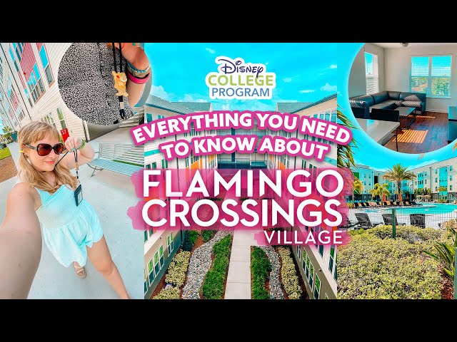 FLAMINGO CROSSINGS - DISNEY PROGRAMS HOUSING | Everything You Need to Know!