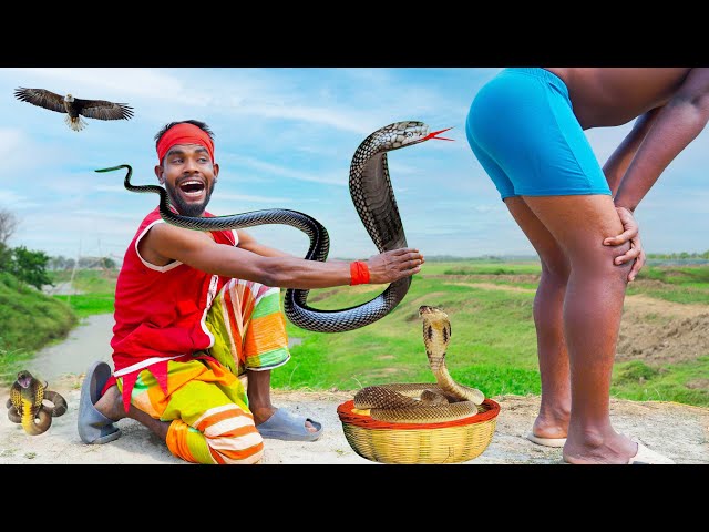 Must Watch Very Special New Comedy Video 😎 Amazing Funny Video 2023 Episode 141 By Bidik Fun Tv