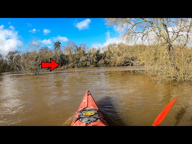 FISHING CAMP AND FLOODED FOREST EXPLORATION | RIVERSIDE [S2] Episode 5