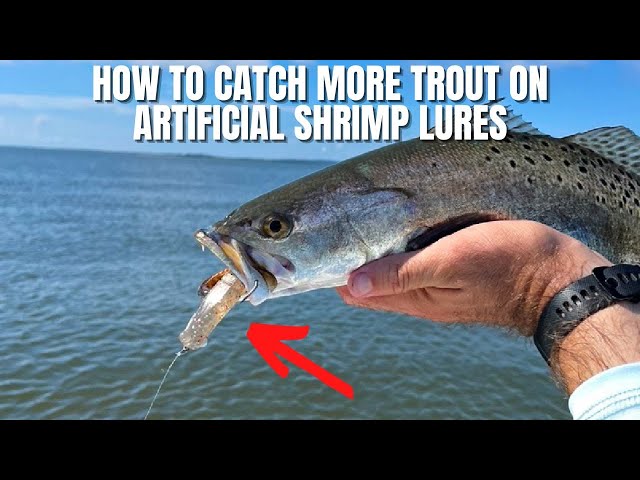 How To Catch More Speckled Trout On Artificial Shrimp Lures