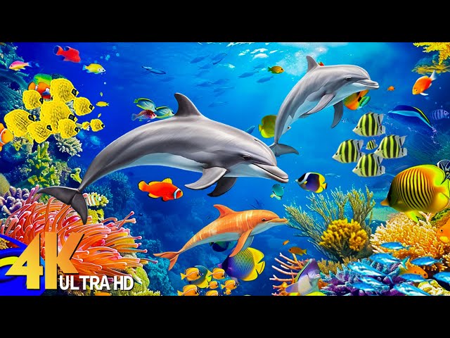 Ocean Reef 4K Video (ULTRA HD) - Beautiful Coral Reef Fish In Aquarium - Relaxing Nature Sounds #9