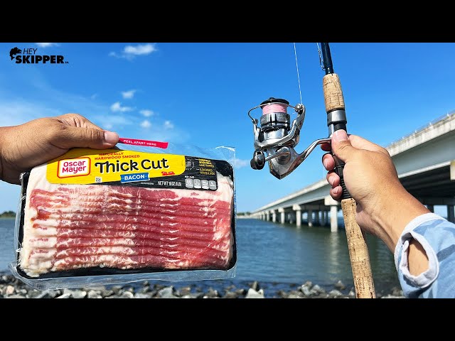 Fishing w/ Bacon to Catch Flounder Limit! (NO JOKE, ACTUALLY USEFUL!) Catch and Cook