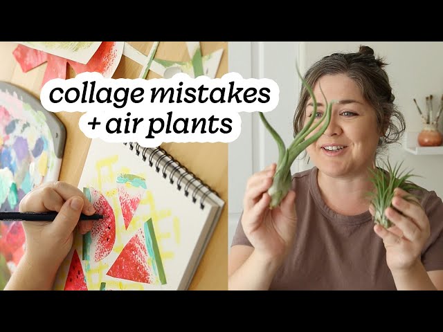 Collage Art Mistakes + Etsy Air Plant Mystery Box!