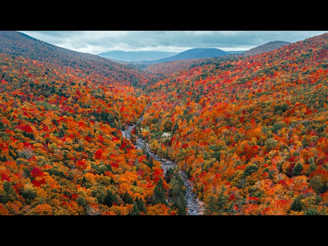 The Best Destination in America for Fall Foliage 🍂🍁