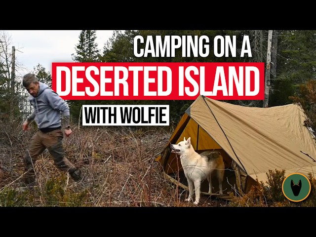 Camping on a Deserted Island with my Dog - Testing out a New Tent with a Woodstove.