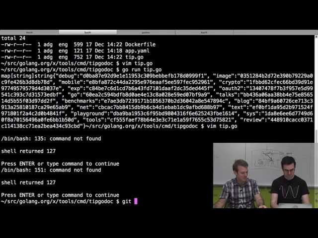 Hacking with Andrew and Brad: tip.golang.org