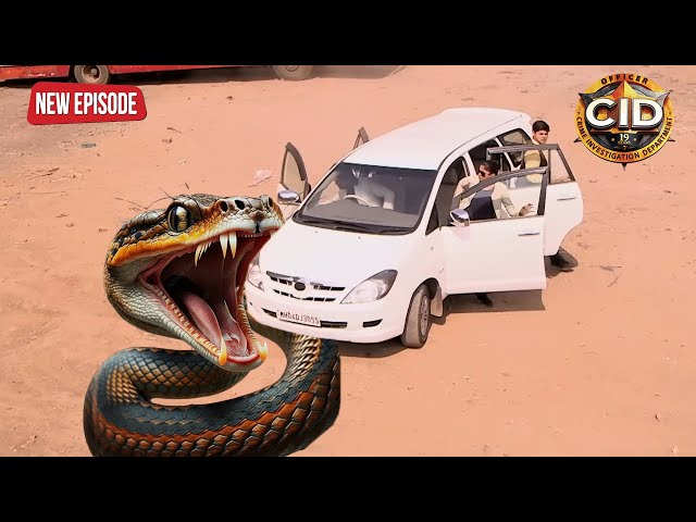 जब CID Team की कार को खा गया इतना बड़ा साँप || CID | TV Serial Latest Episode