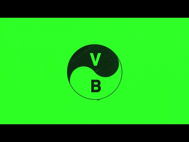 Viagra Boys - Beijing Taxi (Official Audio)