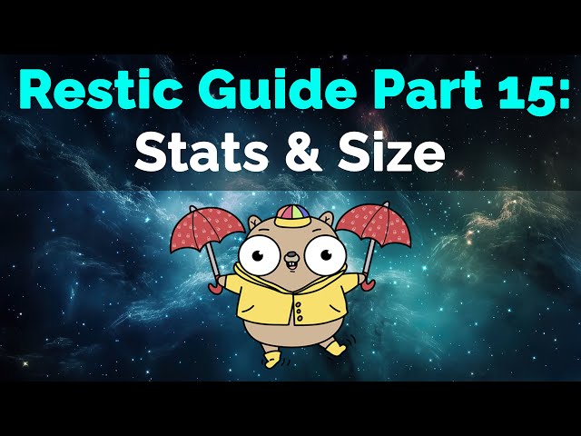 Restic Guide Part 15: Repository Stats and Size