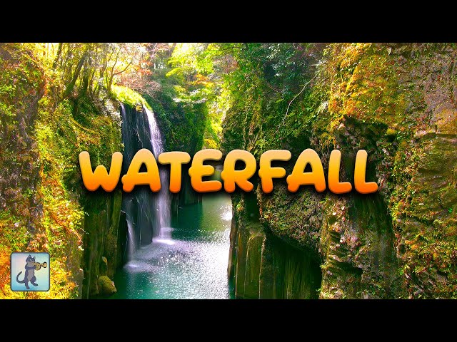 8 HOURS of Spring Forest Waterfall 🍂🍁 Beautiful Nature Scenery & Waterfall Sounds (No Music)