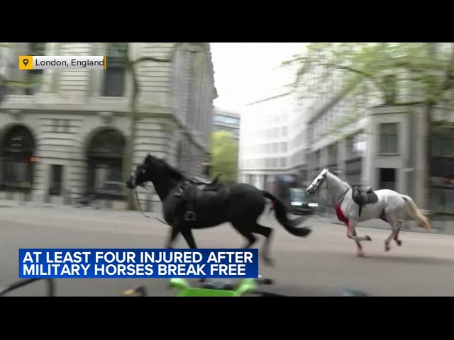 At least 4 injured after military horses break loose in London