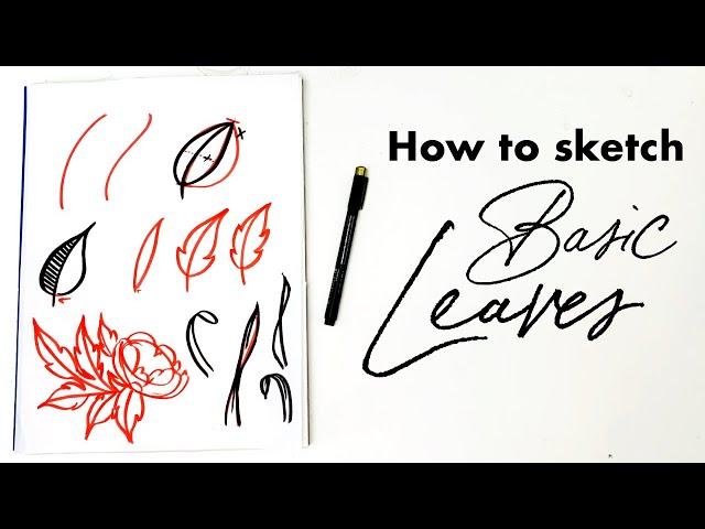 How to sketch basic leaves!