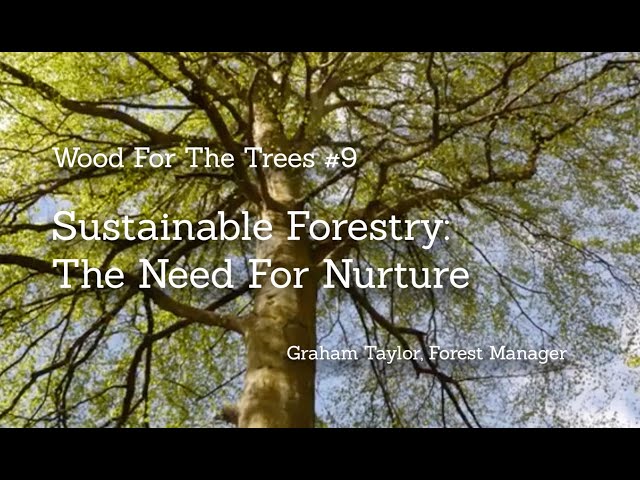 Sustainable Forestry UK: The Need For Nurture, Wood For The Trees #9