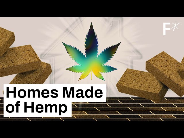Building homes with hemp | Freethink