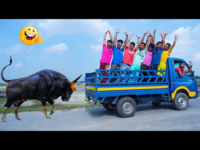 Very Special Must Watch New Funny Comedy Video 2024😂Amazing Comedy Video 2024 Epi 277#comedyfunny