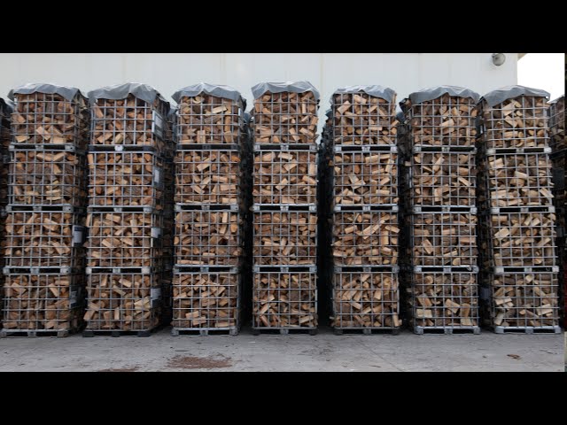 The process of mass-producing 8000 tons of wood firewood per year. No. 1 firewood factory in Korea