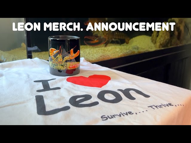 Leon Merch Announcement