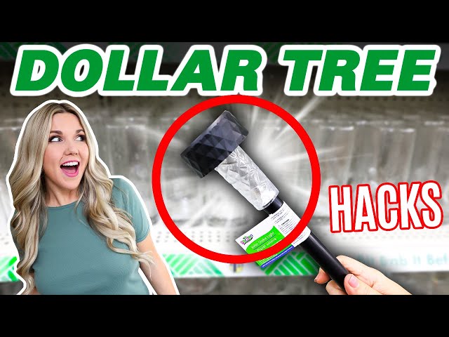 24 Brilliant Dollar Tree Solar Light Hacks