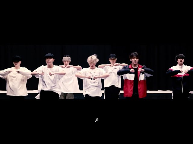 [CHOREOGRAPHY] BTS (방탄소년단) 'Black Swan' Dance Practice(MOVING VER.)(unofficial)