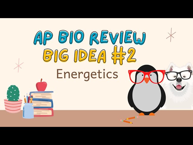 AP Bio Review Big Idea 2 (Energetics)