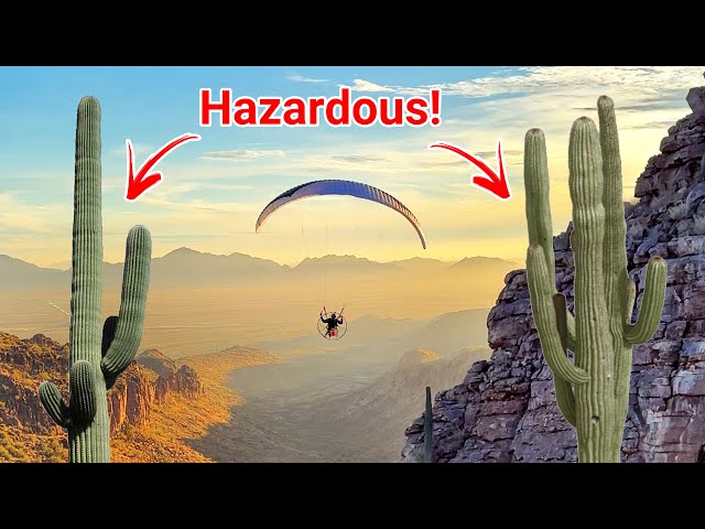 Dangers Of Flying In The Desert!