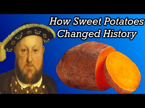 The Unbelievable History of Sweet Potatoes