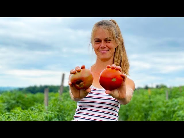 Master Gardener Builds 70 Acre Organic Farm | Good Work: Episode 1