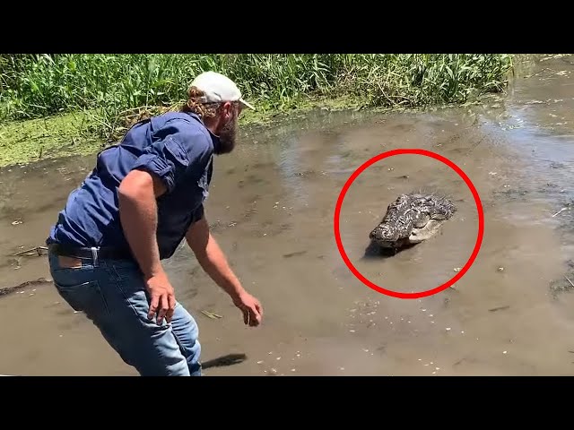 6 Crocodile Encounters You Won't Handle Watching