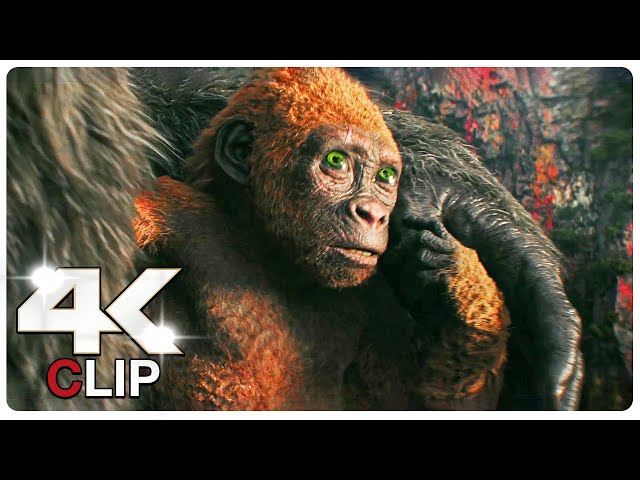Suko Helps Kong Scene | GODZILLA X KONG THE NEW EMPIRE (NEW 2024) Movie CLIP 4K