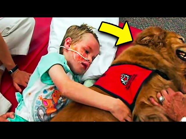 Sick Boy Says 'Goodbye' To Dog, But A Miracle Happens When The Dog Lays Next To Him...