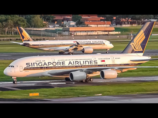 1 HOUR of GREAT Plane Spotting at SINGAPORE CHANGI AIRPORT | 747 A380 787 A350