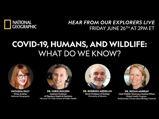 COVID-19, Humans, and Wildlife: What Do We Know? | National Geographic