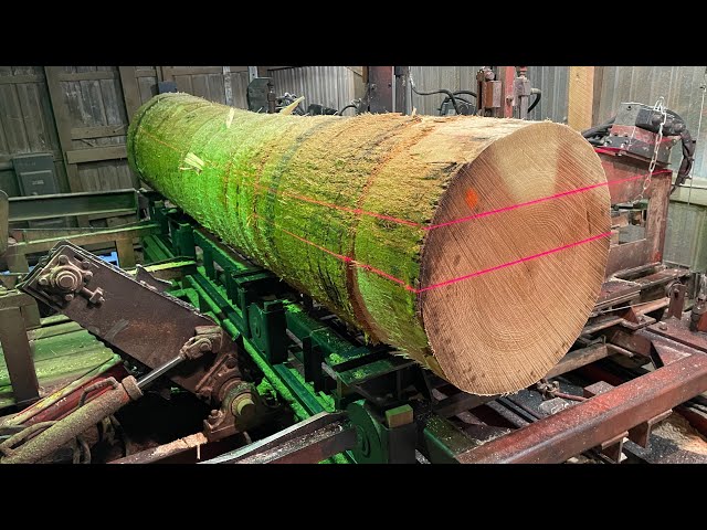 Saw-milling More Big Poplar! The Pace Quickens #36