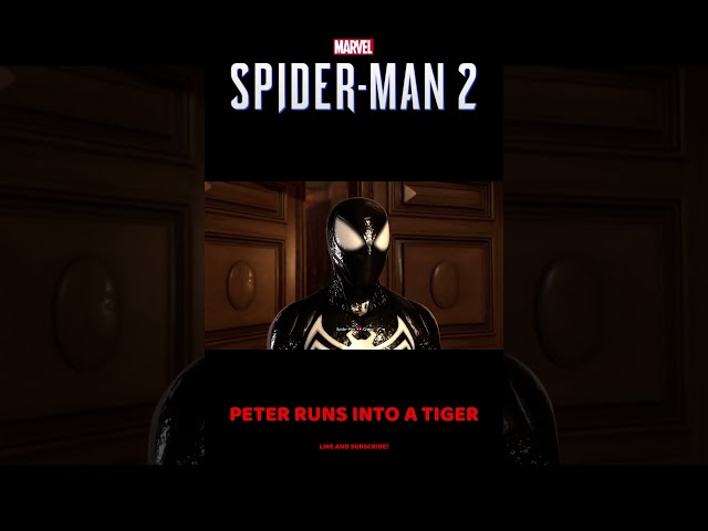 Peter Runs into a tiger Spider Man 2! #spiderman2 #amazing #ps5 #peterparker #spiderman3 #gaming