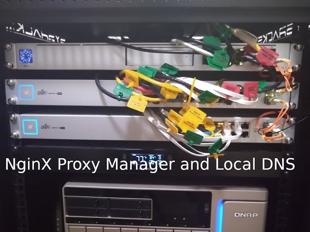 NginX Proxy Manager and Local DNS