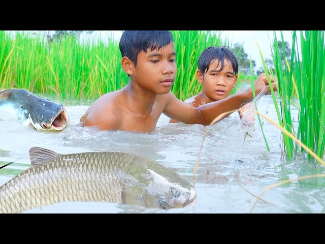 Survival In The Rainforest, Catch Fish Using Traps, Traditional  Fishing