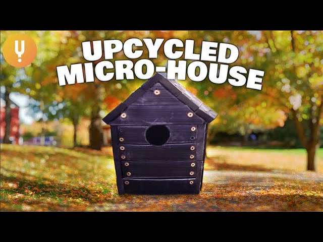 Upcycling Home Made Lumber Into a Micro-House | Silly Sustainability
