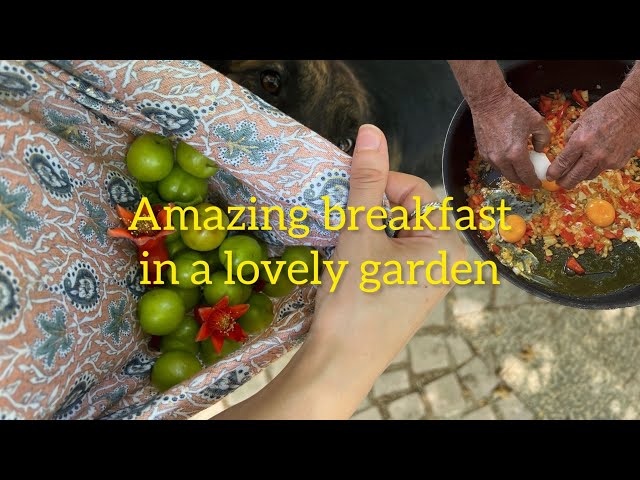 amazing breakfast in a lovely garden Shiraz -Iran
