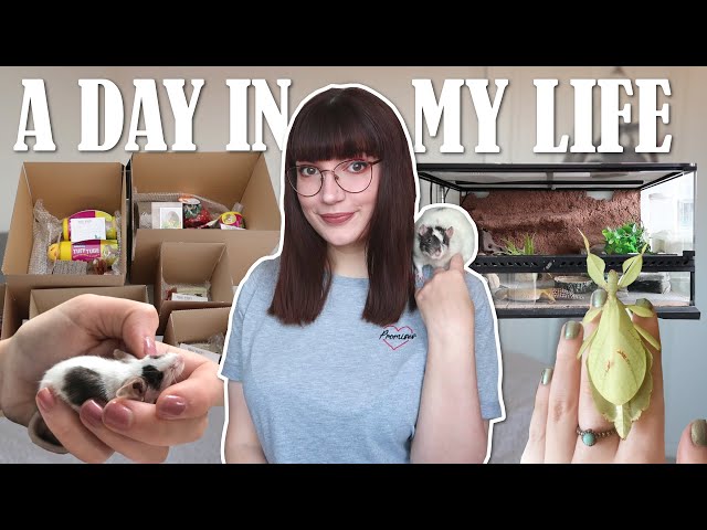 A day in my life with my pets