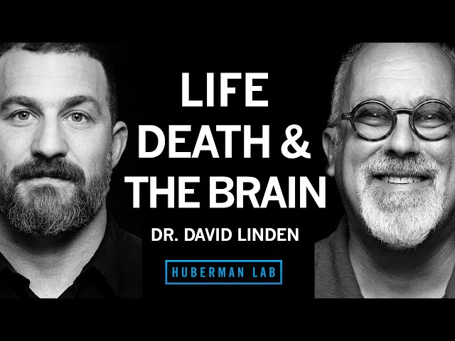 Dr. David Linden: Life, Death & the Neuroscience of Your Unique Experience