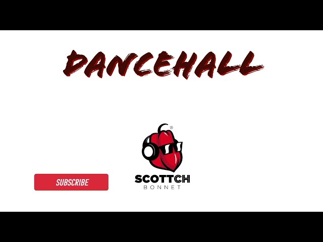 DANCEHALL Mix 2022 (The Best of Dancehall) Skeng, Nicki Minaj, Vybz Kartel, Skillibeng, Shenseea.