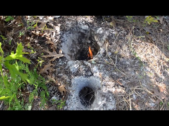 Concealed Wilderness Fire: The Dakota Fire Pit