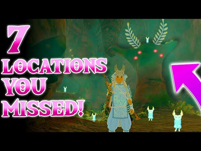 7 More CRAZY Locations You MISSED In Zelda Tears of the Kingdom! [Iwata Monument?!]