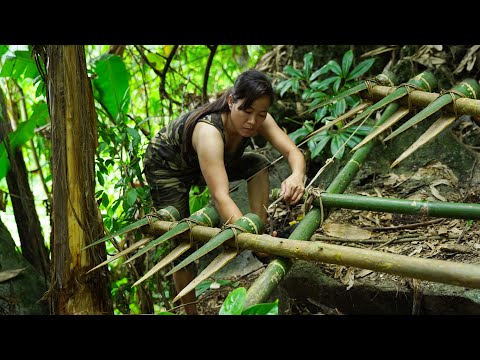 Detecting Traces of Wild Boar - Sharp Bamboo Trap/ Bushcraft & Survival Part 3