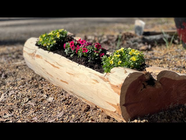 How to Make a One of a Kind Planter Out of a Log!
