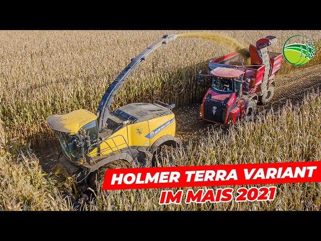 Chopping maize with BIG tires | Holmer Terra Variant & New Holland FR920
