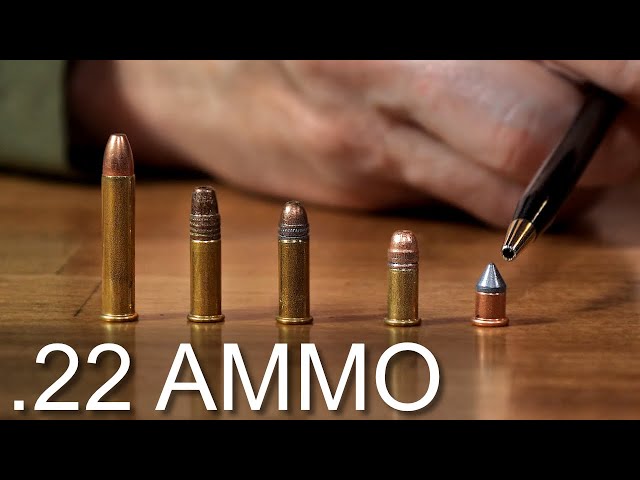 22 Ammunition | A Brief Discussion