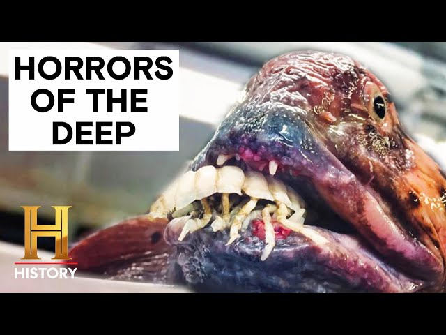 The Proof Is Out There: Top 7 TERRIFYING Deep Sea Horrors